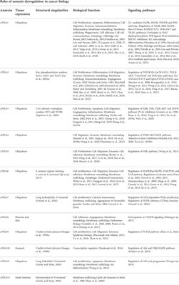 Pathobiological functions and clinical implications of annexin dysregulation in human cancers